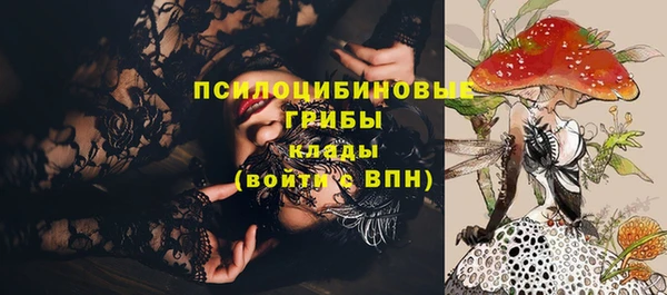 спиды Киреевск