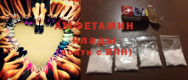 ГАЛЛЮЦИНОГЕННЫЕ ГРИБЫ Козловка