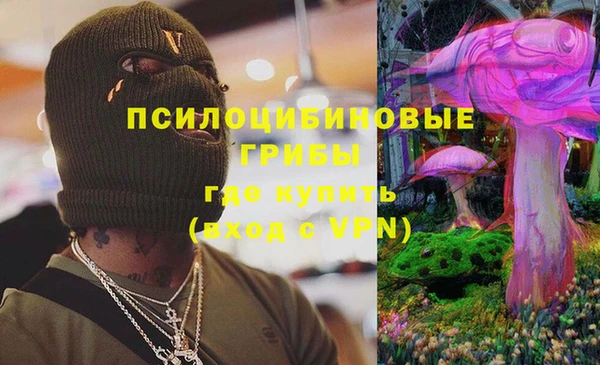 спиды Киреевск