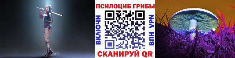 Галлюциногенные грибы прущие грибы  Купить где  Вязьма 