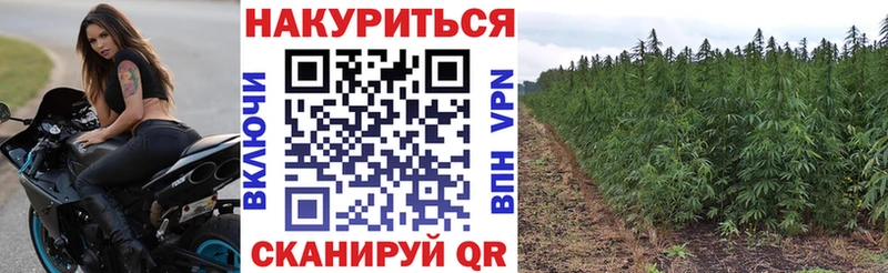 Бошки Шишки гибрид  Купить где  Вязьма 